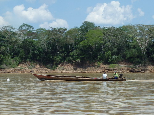 Corto Maltes, Amazonia.